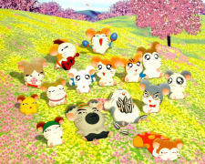 hamtaro 2 λίστα